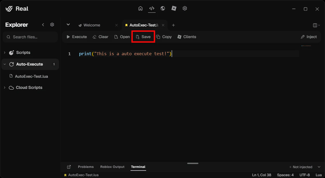 Real editor with an Auto-Execute script and the Save button highlighted.